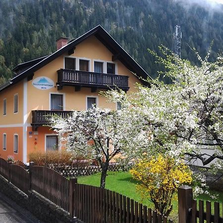 Saeuleck Appartement Inkl Skibus Mallnitz Exterior photo